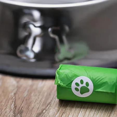 Margi Joy Cozy In The Centre Stettino